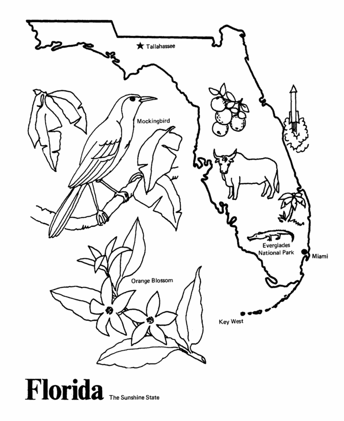  Florida State outline Coloring Page