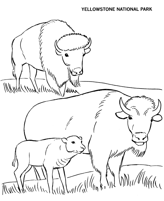 226 Cute National Park Coloring Pages for Kindergarten